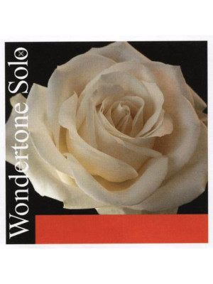 PIRASTRO WONDERTONE Solo E 4/4 Pojedinačna žica za violinu