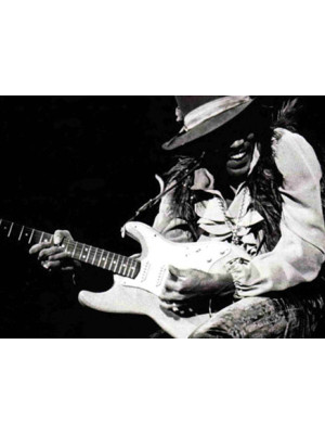 DUNLOP JH-PT05H Silver Portrait Heavy (12) Set trzalica